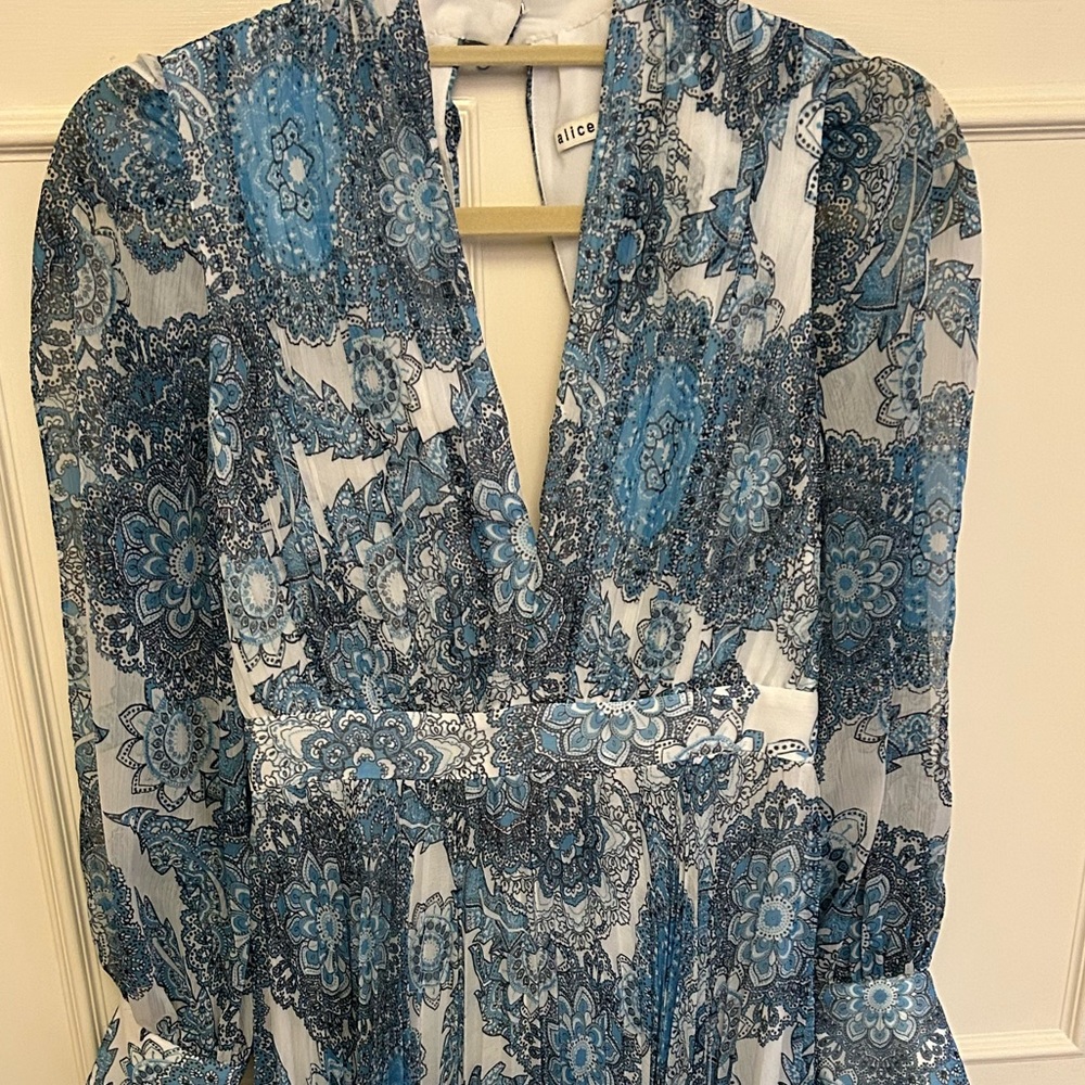 Alice and Olivia XS Paisley Print Long Dress